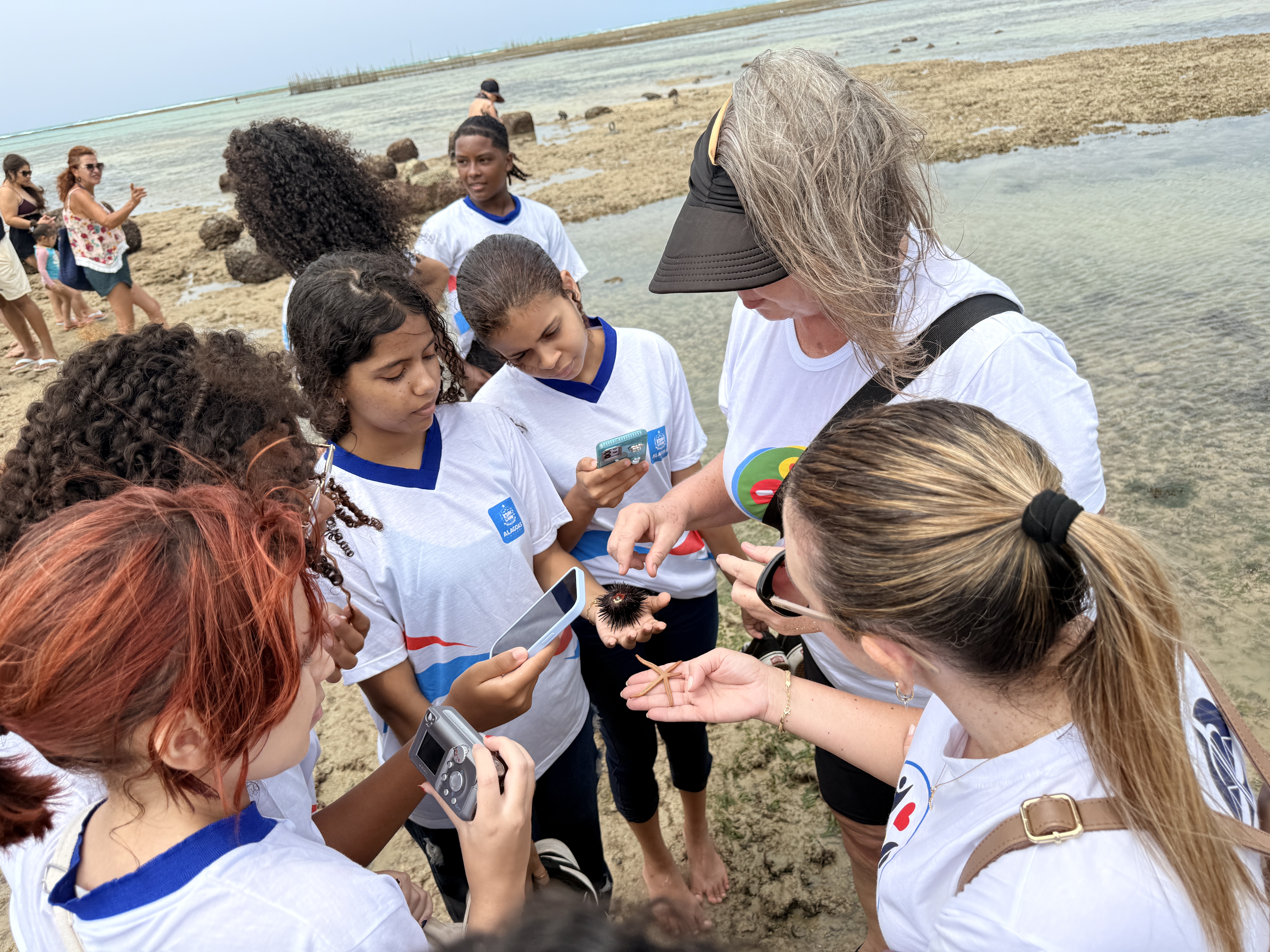 Bióloga Virginia Miller demonstrou para os estudantes alguns dos seres vivos da orla de Maceió.